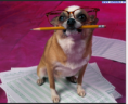 /album/galleria-fotografica/screenshot-2014-04-21-21-49-10-2-png/